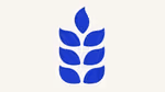 Corn icon.